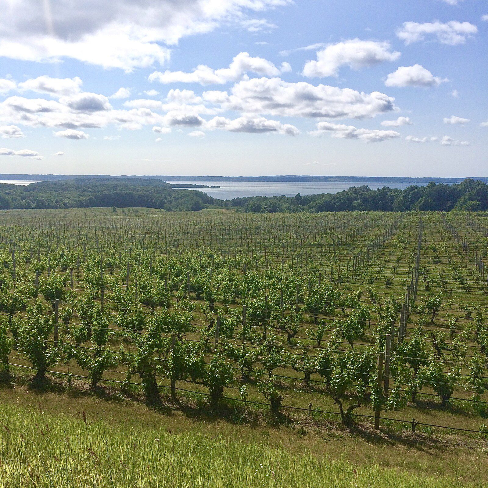 OLD MISSION PENINSULA